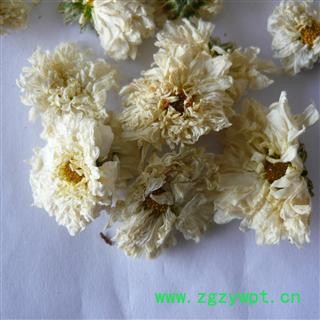 贡菊花 茶用贡菊花 产地 安徽省图2