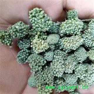 三七花 三年生三七花无柄大选货 产地 云南省文山壮族苗族自治州图2