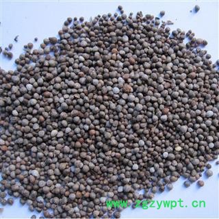 苏子 紫苏子净货 产地 山东省 华美中药 产地直销 重在品质图2