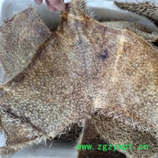 安祁名药刺猬 整张刺猬皮图2