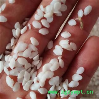 安祁名药中药材鱼脑石   多种规格图2