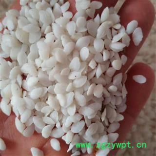 安祁名药中药材鱼脑石   多种规格图3