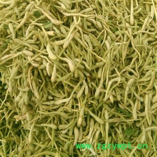 金银花 金银花青花精选货 产地 山东省大货批发价图3