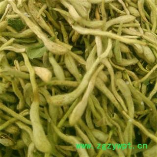 金银花 金银花青花精选货 产地 山东省大货批发价图2