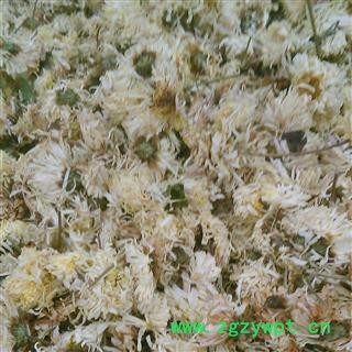 菊花亳菊花药菊1000克促销批发价 选 产地 安徽省亳州市谯城区 大货批发价图2