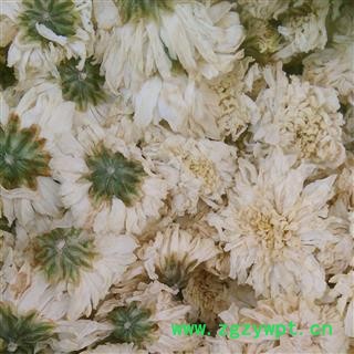 菊花 黄山贡菊花 产地 安徽省图2