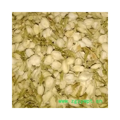 茉莉花 统 产地 广西壮族自治区桂林市七星区