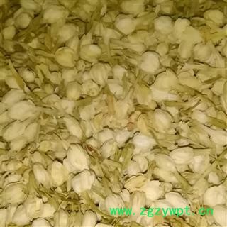 茉莉花 统 产地 广西壮族自治区桂林市七星区图2