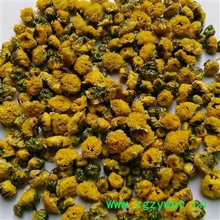 菊花 洋甘菊精品出口级 产地 安徽省图2