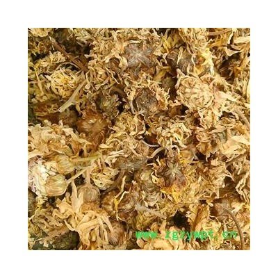 菊花 无硫亳菊花 产地 安徽省