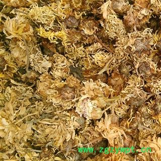 菊花 无硫亳菊花 产地 安徽省图3