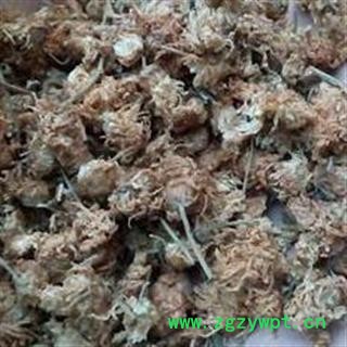 菊花 无硫亳菊花 产地 安徽省图2