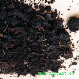 安祁名药正品山羊血 青羊血 羊血图2