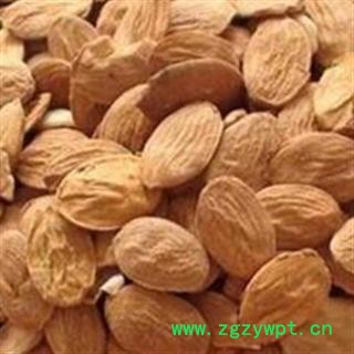 桃仁 扁桃仁选货 个头饱满  白茬  产地 山东省图2