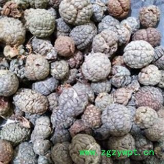 豆蔻 草豆蔻 新货国产草豆蔻大选货,无碎粒。发货前过筛干净 产地 云南省图2