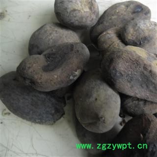 五倍子 统 产地 四川省成都市双流县图2