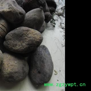 五倍子 统 产地 四川省成都市双流县图4