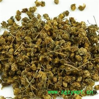 小丽百草行 野菊花  野菊花图2