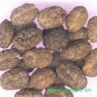 进口砂仁 净砂 进口砂仁米统货 产地 海外图2