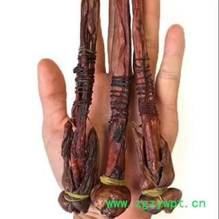 优质正品海狗鞭 黄狗鞭 手工制作 日晒图2