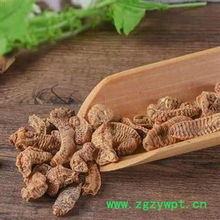 秦岭天然蛴螬白土蚕老母虫 日晒干净无硫250g图2