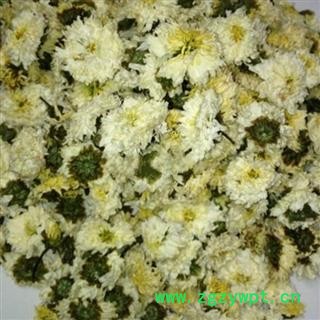 小丽百草行黄山 贡菊 花茶贡菊 白菊花  花草茶图2