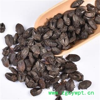 九香虫 秦岭优质打屁虫 日晒500g图2