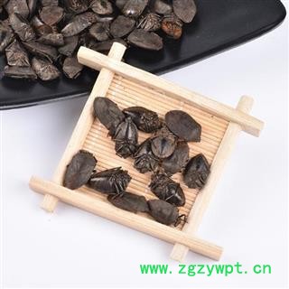 九香虫 秦岭优质打屁虫 日晒500g图3