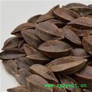 使君子 使君子选货 产地 四川省图2