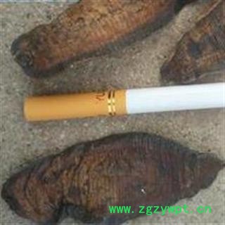 水蛭 盐水货 大选水蛭 肉厚 纯干货 产地 江苏省图2