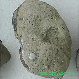 石蟹 统 产地 广东省茂名市市辖区图3