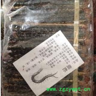 蜈蚣 统 产地 湖北省荆门市市辖区  10-12cm图2