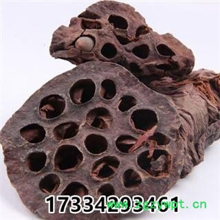 中药材莲房 连房 干货莲蓬壳 莲壳 莲房干 生莲房图3