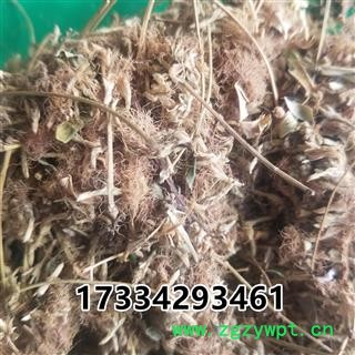 合欢花  别称夜合欢 夜合树 绒花树 鸟绒树 苦情花图2