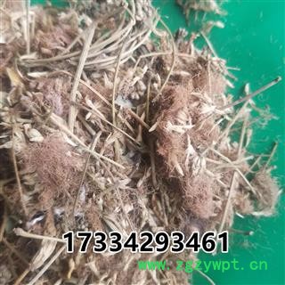 合欢花  别称夜合欢 夜合树 绒花树 鸟绒树 苦情花图3