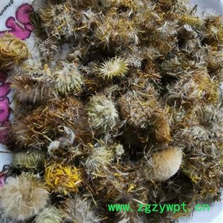 旋复花 金钱花 夏菊 金钱菊 六月菊 复花 小黄花 金沸花图3