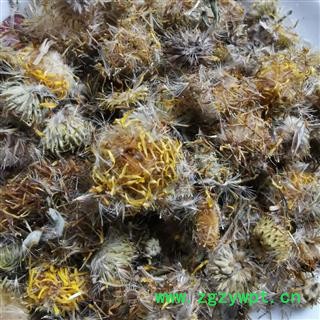 旋复花 金钱花 夏菊 金钱菊 六月菊 复花 小黄花 金沸花图2