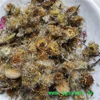 旋复花 金钱花 夏菊 金钱菊 六月菊 复花 小黄花 金沸花图4