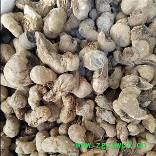 屈头鸡 水三七 水田七正品保证质量7天无理由退货退款 安品堂图4