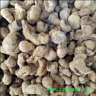 屈头鸡 水三七 水田七正品保证质量7天无理由退货退款 安品堂图3