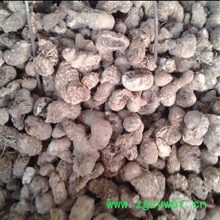 屈头鸡 水三七 水田七正品保证质量7天无理由退货退款 安品堂图2