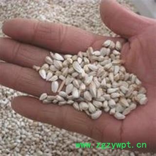 诺源药材行新疆正品红花 草红花 草红花籽图2