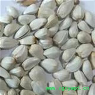 诺源药材行新疆正品红花 草红花 草红花籽图3