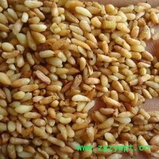 柏子仁 净500克正品保证质量7天无理由退货退款 安品堂图4