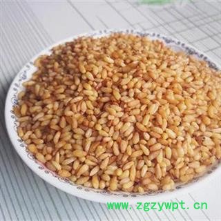 柏子仁 净500克正品保证质量7天无理由退货退款 安品堂图3