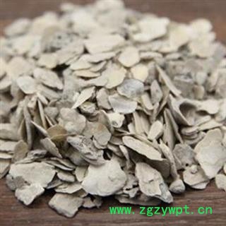 中药材牡蛎矿石类  生牡蛎 牡蛎 蛎黄 海蛎子 蚝 蚵 蛎子品种齐全 产地河北安国市场批发零售大全图2