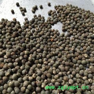 黄蜀葵子 正品保证质量7天无理由退货退款 安品堂图3