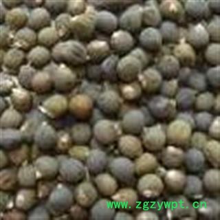 黄蜀葵子 正品保证质量7天无理由退货退款 安品堂图2