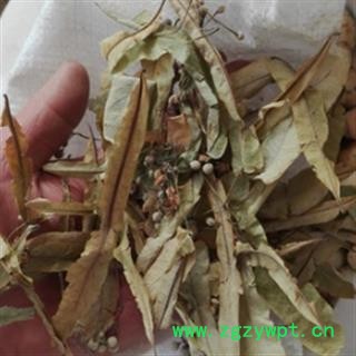 安祁名药正品菩提树花 菩提叶图2