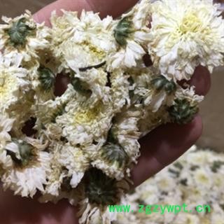 安祁名药优质黄山贡菊 白菊花 太阳菊 朵白无杂图2